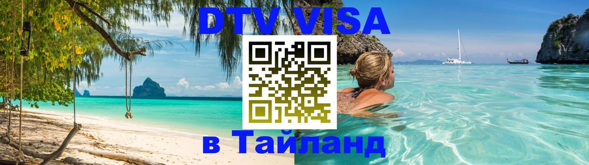 Сколько стоит DTV виза — актуальные цены, оформление даже без документов - 09.01.2026 